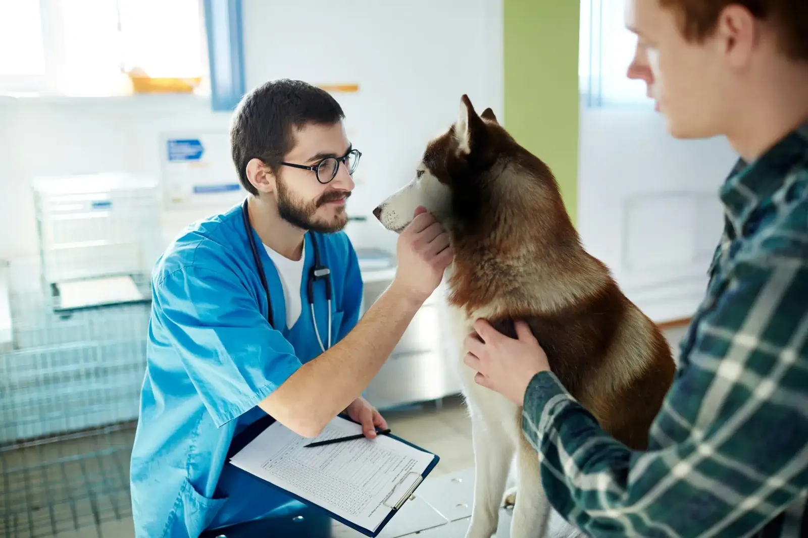 Vétérinaire avec un chien